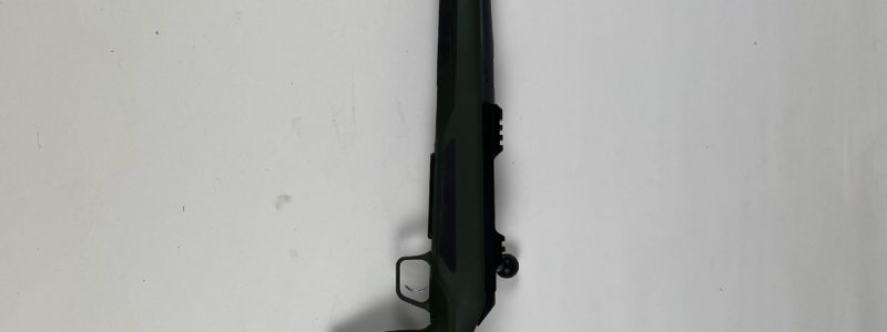 CZ600 Ergo